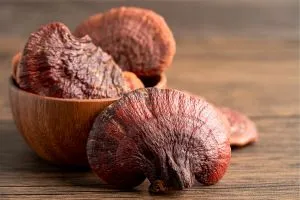 Reishi, des champignons rouges marrons sur une table en bois.