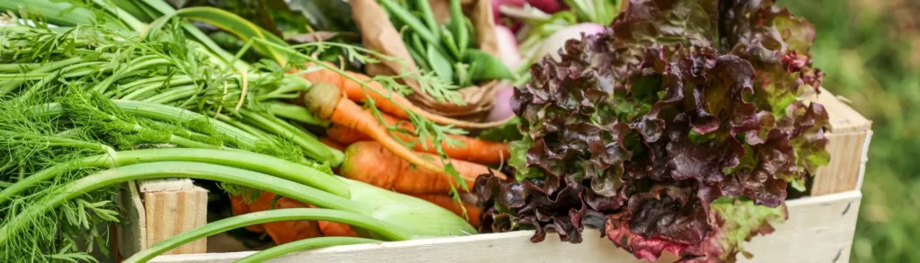 Produits bio pas chers : des légumes bio dans une cagette en bois