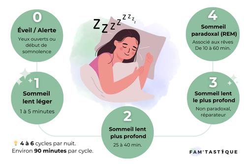 Illustration des différentes phases de sommeil.