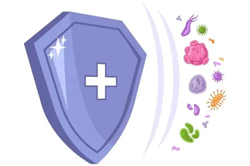 Système immunitaire faible : un bouclier protège des virus et des bactéries.