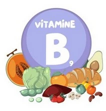 Illustration des aliments riches en vitamine B9 (pain, foie, chou, etc.)