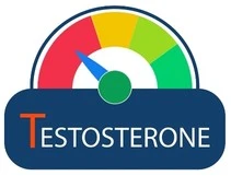 Illustration d'une baisse de testostérone. L'aiguille du compteur est dans le rouge.