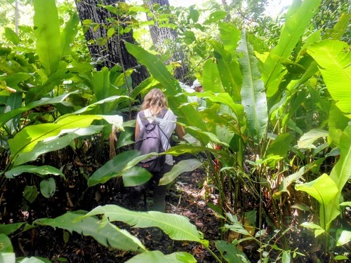Marlène dans la jungle en Bolivie entourée de plantes vertes immenses