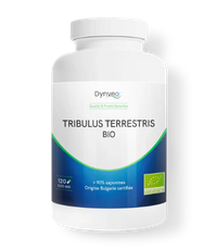 Flacon de tribulus terrestris de la marque Dynveo.