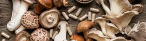 Une photo de champignons avec des gélules d'ergothionéine