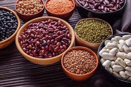 Des légumineuses (lentilles, haricots, fèves, lentilles, pois-chiches) en guise de protéines végétales dans des bols.